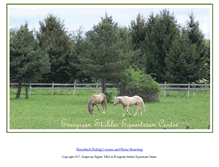 Tablet Screenshot of evergreenstables.us